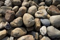 Dry riverbed cobblestone Royalty Free Stock Photo