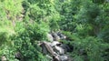 Dry riverbed in the mountains on the Hindu island of Bali. Non-heated forest without human intervention. Lush vegetation in jungle Royalty Free Stock Photo