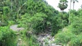 Dry riverbed in the mountains on the Hindu island of Bali. Non-heated forest without human intervention. Lush vegetation in jungle Royalty Free Stock Photo