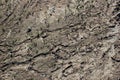 Dry riverbed texture background Royalty Free Stock Photo