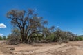 The dry riverbed of the Ugab River, Damaraland, Namibia Royalty Free Stock Photo
