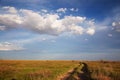 Dry road in steppe