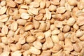 Dry Roasted Peanuts Close-up