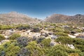 Dry rocky land with desert bushes on a mountain at east Crete island