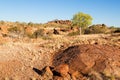 Dry and rocky landscape with a lone green tree Royalty Free Stock Photo