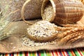 Dry rolled oatmeal flakes in bamboo basket with oats ears