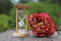 Dry Rose With Broken Hourglass outdoors on patio