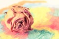 Dry rose bud on abstract painting Royalty Free Stock Photo