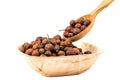 Dry rose hips in a wooden bowl and wooden spoon over a white background Royalty Free Stock Photo