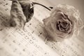 The dry rose is lying on notes Royalty Free Stock Photo