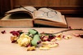 Dry rose and the old book Royalty Free Stock Photo