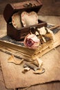 Dry rose, old book Royalty Free Stock Photo