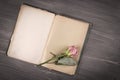 Dry rose and old book on wooden background Royalty Free Stock Photo