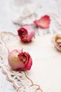 Dry rose and old letters Royalty Free Stock Photo