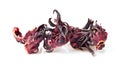 Dry roselle hibiscus isolated on white background Royalty Free Stock Photo