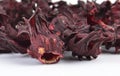 Dry roselle isolated on white background Royalty Free Stock Photo