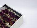 Dry roses in gift box on white background, Copy space Royalty Free Stock Photo