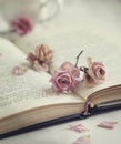Dry roses and old book. Royalty Free Stock Photo
