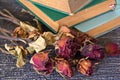 Dry roses and old book Royalty Free Stock Photo