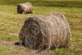 Dry round hay bales on field, natural background Royalty Free Stock Photo