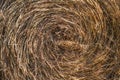 Dry round hay stack natural background, close up Royalty Free Stock Photo