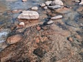 Dry round and soft river rocks.