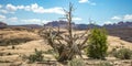 Dry rugged terrain under blue sky and puffy clouds Royalty Free Stock Photo