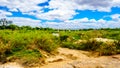 The almost dry Sabie River in central Kruger National Park