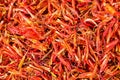 Dry safflower herb tea. Royalty Free Stock Photo