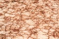 Dry saline soil surface for background texture