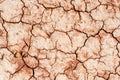 Dry saline soil surface for background texture