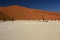 Dry salt lake and red dunes Royalty Free Stock Photo