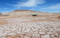 Dry salty soil pattern in San Pedro de Atacama desert Royalty Free Stock Photo