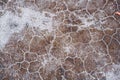 Dry sand with cracks. Royalty Free Stock Photo