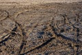 Dry sand and mud ground with many dirt bike tracks at daylight