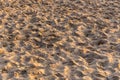 Dry sand surface with many footprints and dry autumn tree leaves under sundown yellow light Royalty Free Stock Photo