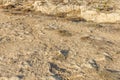 Dry sandy land, road, seashore on a hot day. Close-up. Space for text. Background Royalty Free Stock Photo