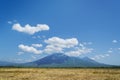 Dry savanna with Mount Baluran background