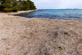 Dry sea grass Posidonia oceanica on the Parzine beach on Ilovik island