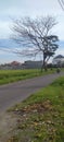 The dry season makes the trees bare