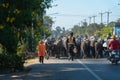 Nakornnayok,Thailand-December 15,2019:During the dry season, people who have a career raising buffalo. .