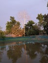 Dry season in winter pond & blue sky