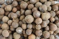 Dry seeds of allspice Royalty Free Stock Photo