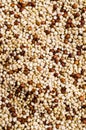 Dry seeds mixed quinoa Royalty Free Stock Photo