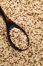 Dry seeds mixed quinoa Royalty Free Stock Photo