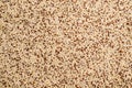 Dry seeds mixed quinoa Royalty Free Stock Photo