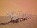 A dry shrub laying on sand of desert Royalty Free Stock Photo