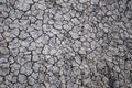 Dry soil abstract background. Drought. Gray dry soil. Soil background. Cracked soil background. Earth pattern. Soil texture. Crack Royalty Free Stock Photo