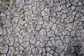 Dry soil abstract background. Drought. Gray dry soil. Soil background. Cracked soil background. Earth pattern. Soil texture. Crack Royalty Free Stock Photo