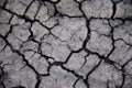 Dry soil abstract background. Drought. Gray dry soil. Soil background. Cracked soil background. Earth pattern. Soil texture. Crack